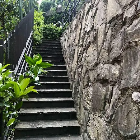 Chichizola Rapallo